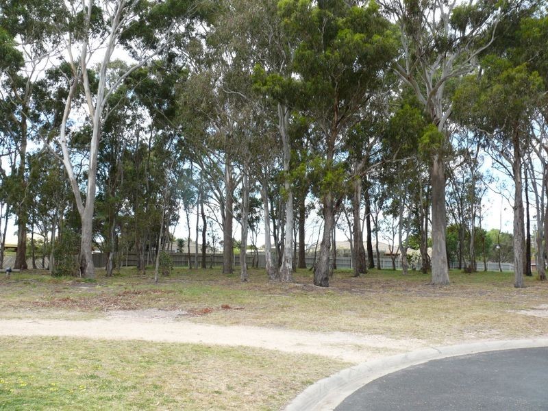 20 Newton Close, Paynesville VIC 3880