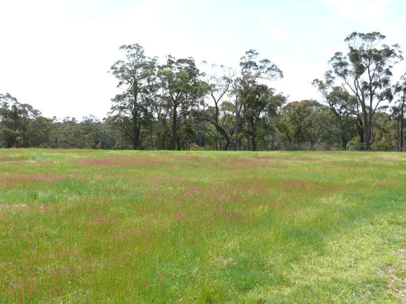 300 Lake Victoria Road, Eagle Point VIC 3878