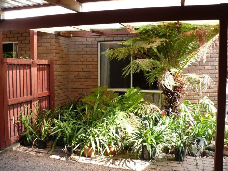 17 Vaughan Street, Paynesville VIC 3880