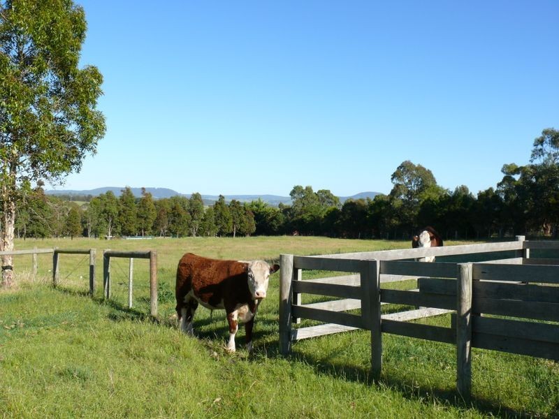 95 Balfours Road, Bairnsdale VIC 3875