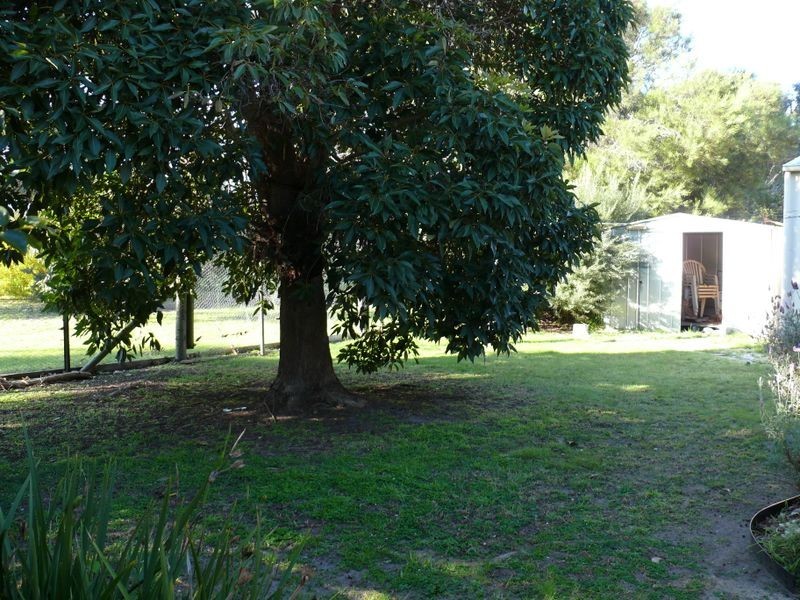 17 Currawong Close, Raymond Island VIC 3880