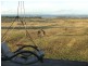 215 Gravelly Point Road, Raymond Island VIC 3880