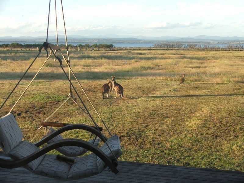 215 Gravelly Point Road, Raymond Island VIC 3880