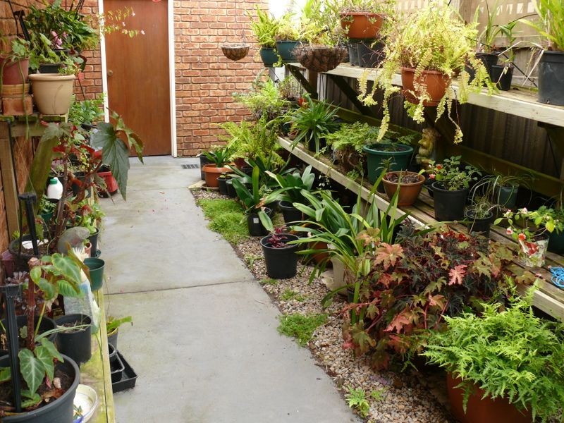 20 Schooner Terrace, Paynesville VIC 3880