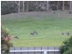 240 Lake Victoria Road, Eagle Point VIC 3878
