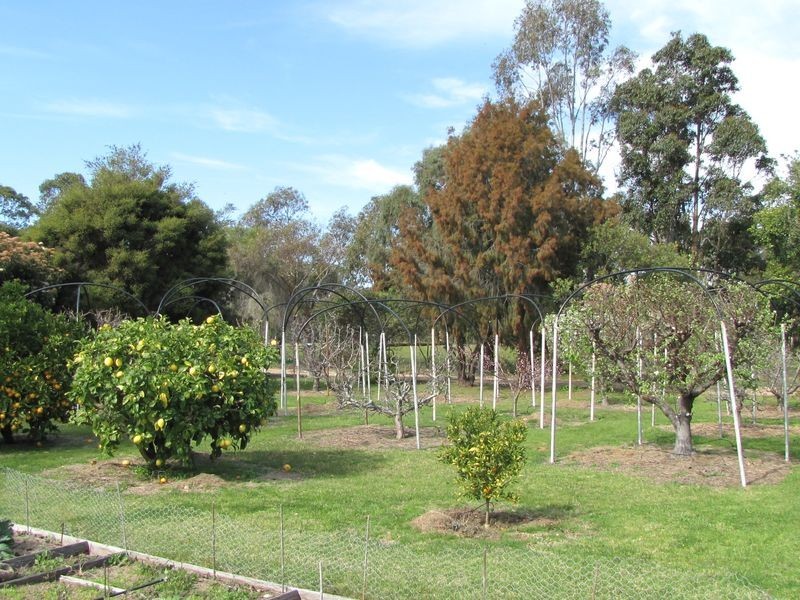 240 Lake Victoria Road, Eagle Point VIC 3878