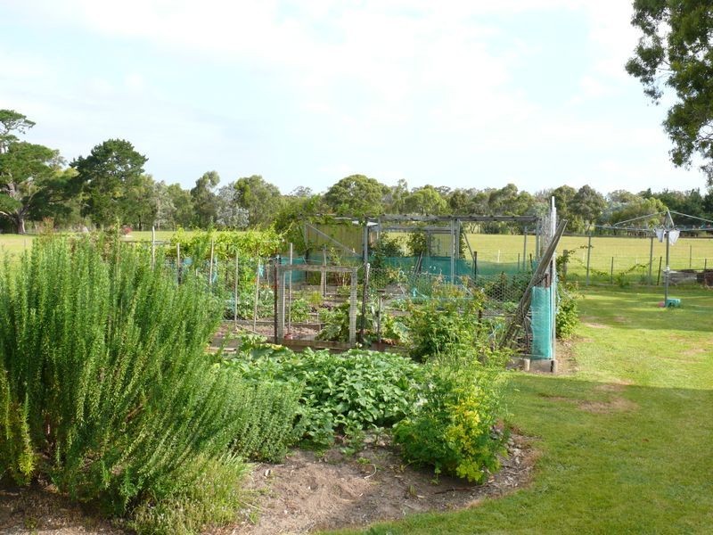 50 Mathiesons Road, Eagle Point VIC 3878