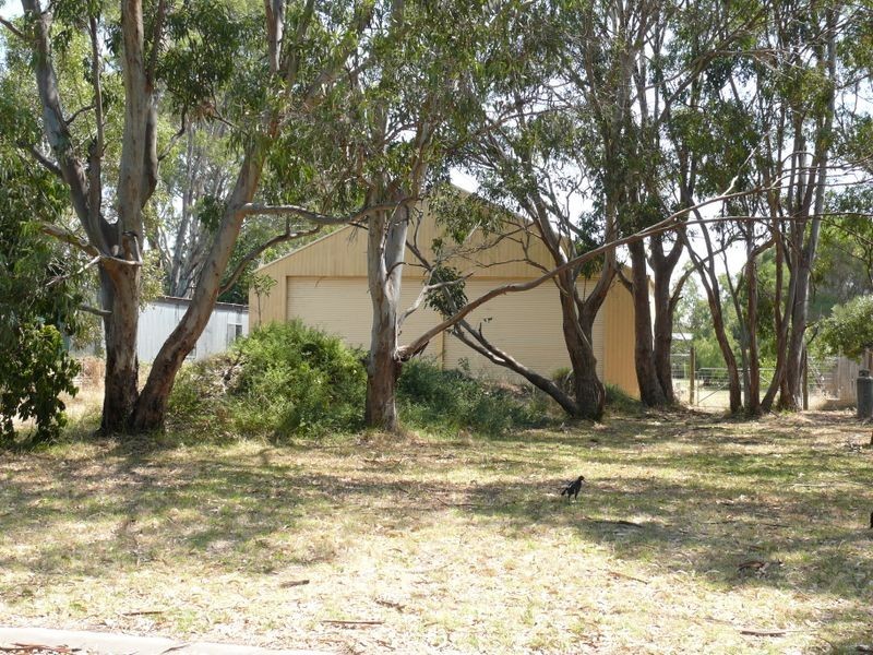 53 Fourth Avenue, Raymond Island VIC 3880