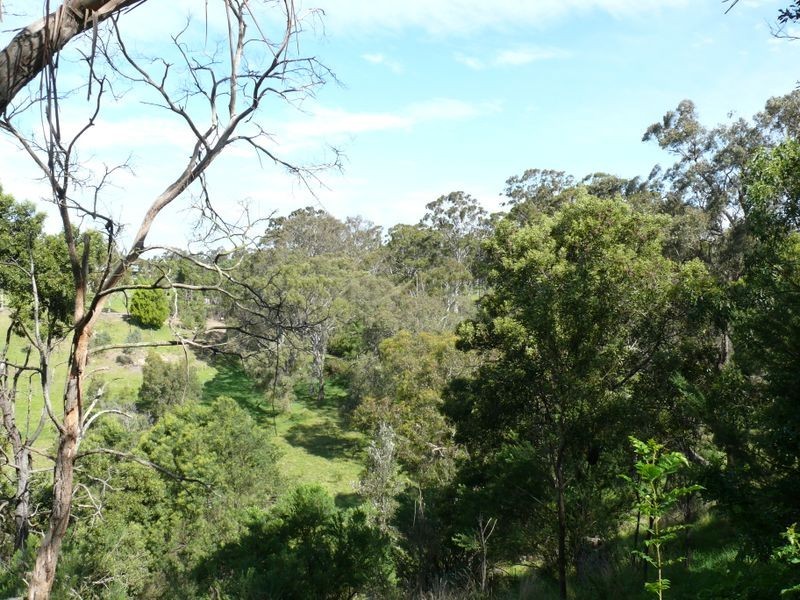 100 Mathiesons Road, Eagle Point VIC 3878