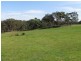 240 Lake Victoria Road, Eagle Point VIC 3878