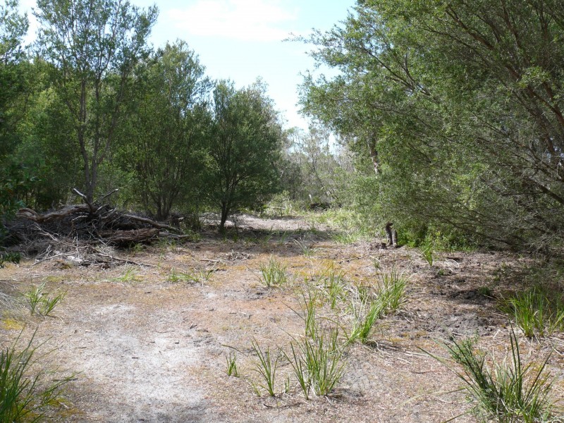 Lot 5 Jubilee Head, Boole Poole VIC 3880