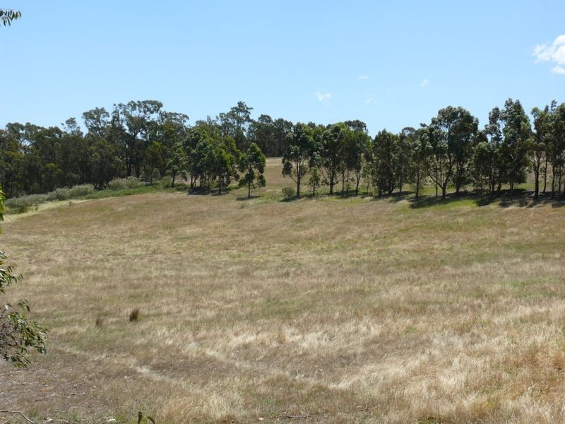 40 Jones Road, Eagle Point VIC 3878