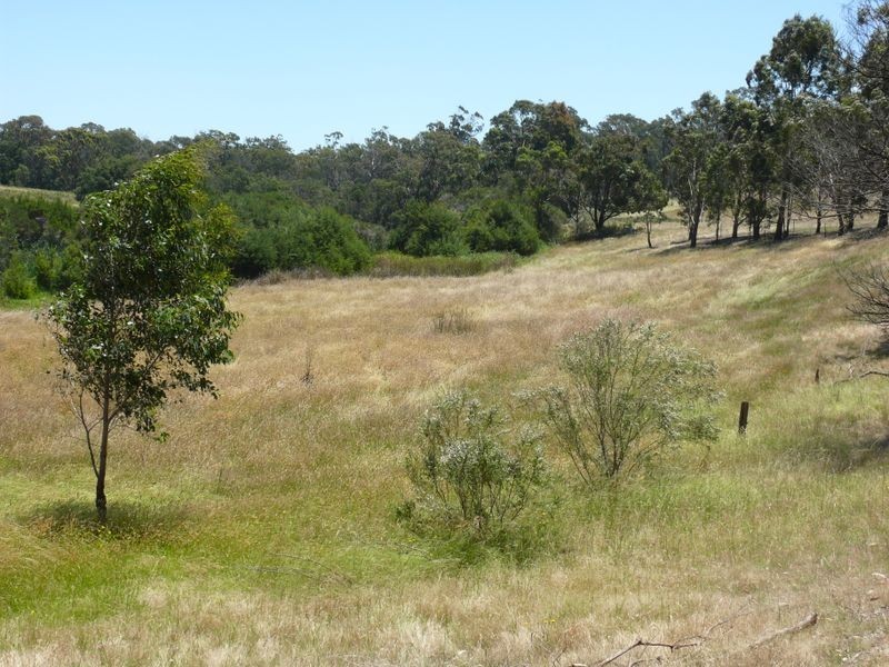 40 Jones Road, Eagle Point VIC 3878