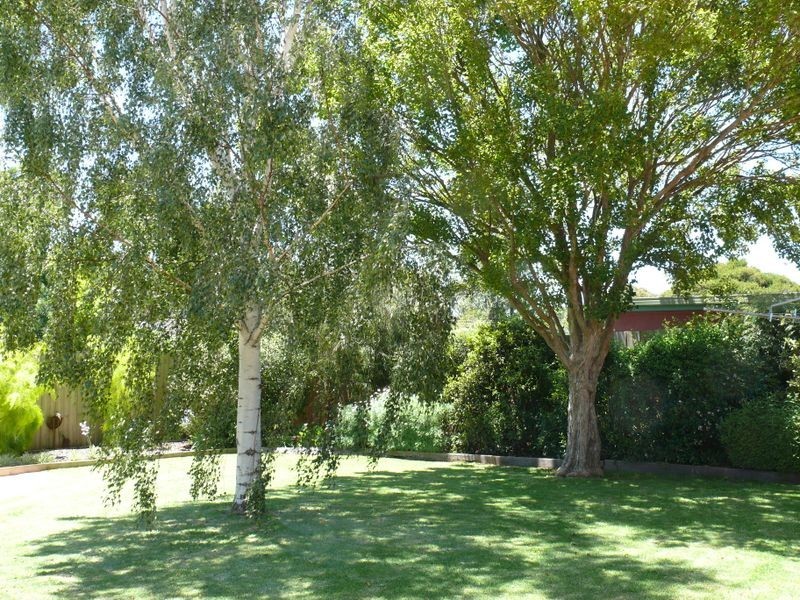 6 Bungaree Avenue, Paynesville VIC 3880