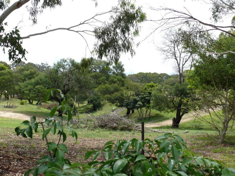 34 Forge Creek Road, Eagle Point VIC 3878