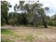 40 Gravelly Point Road, Raymond Island VIC 3880