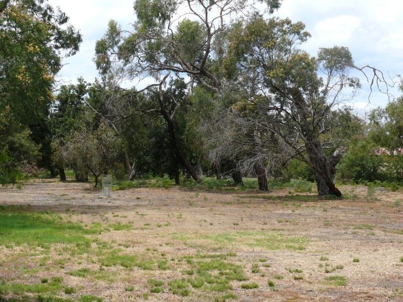 40 Gravelly Point Road, Raymond Island VIC 3880
