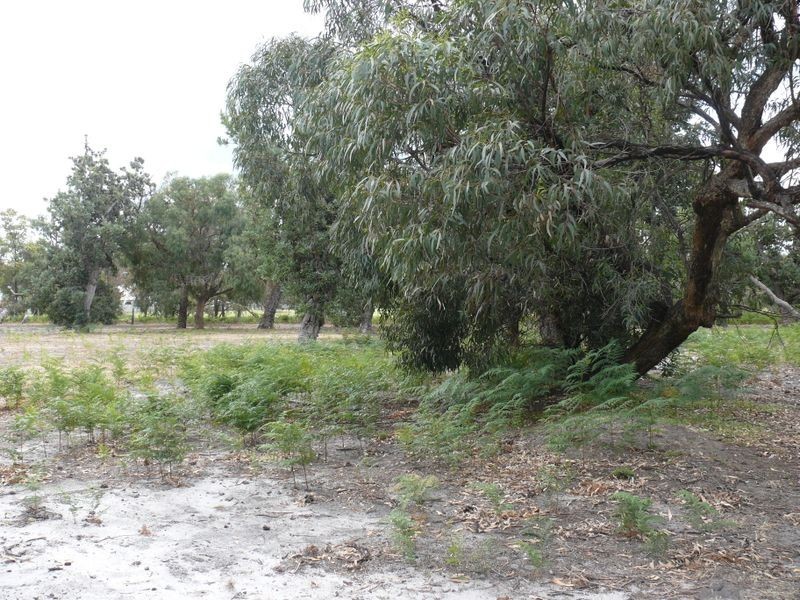 40 Gravelly Point Road, Raymond Island VIC 3880