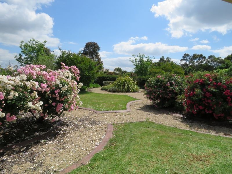 51 Boyd Court, Eagle Point VIC 3878