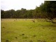 135 Western Boulevard, Raymond Island VIC 3880
