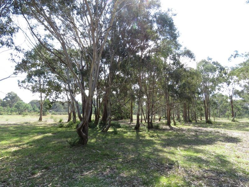 15 Centre Road, Raymond Island VIC 3880