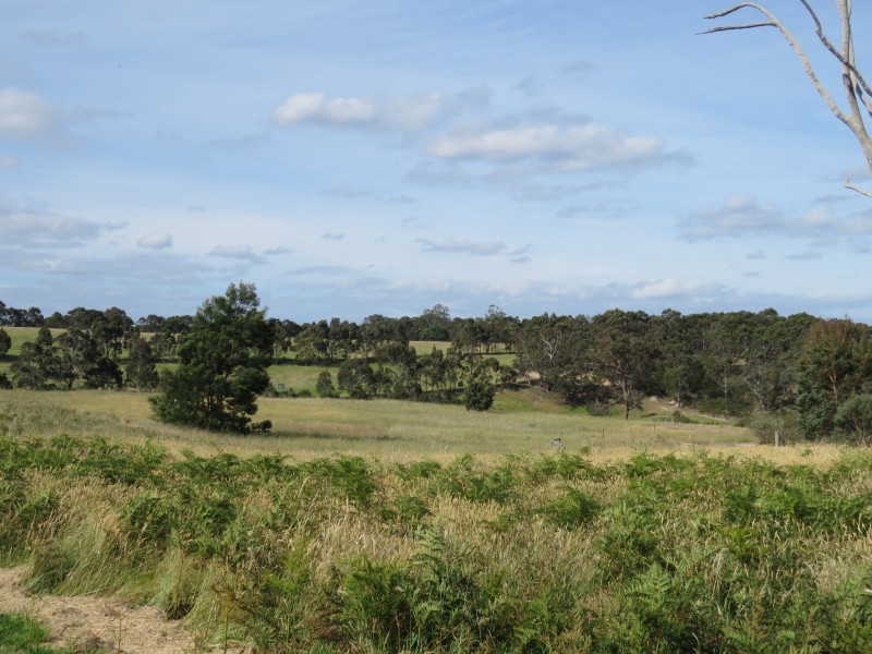 31 Kyra Court, Newlands Arm VIC 3875