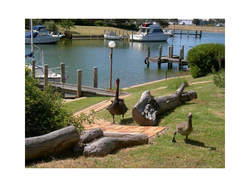 Paynesville VIC 3880