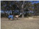 245 Lake Victoria Road, Eagle Point VIC 3878