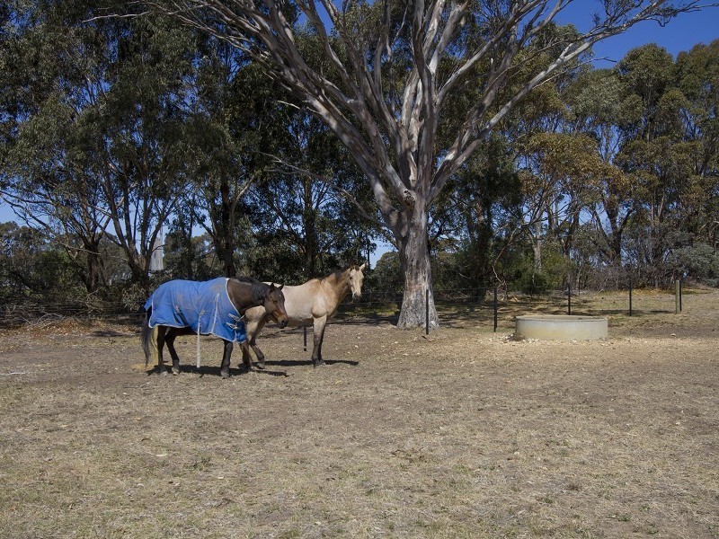 245 Lake Victoria Road, Eagle Point VIC 3878
