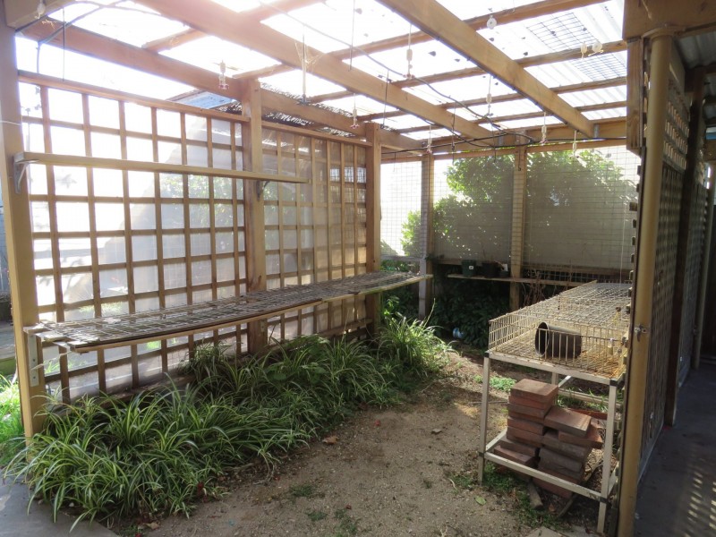 11 Kings Road, Paynesville VIC 3880