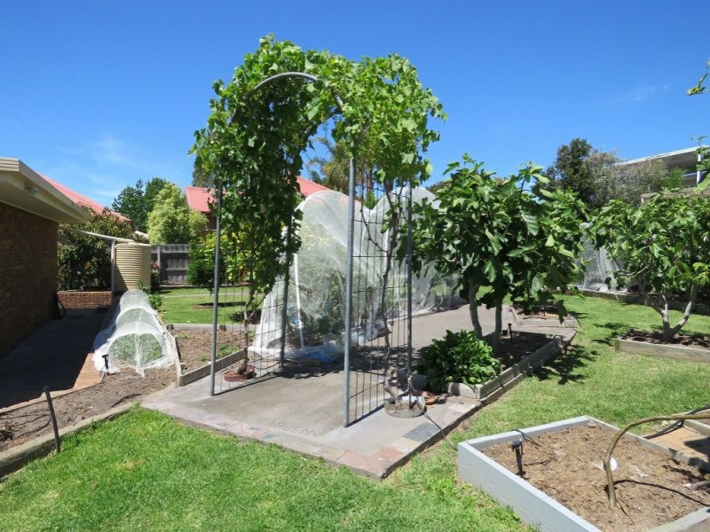 20 Schooner Terrace, Paynesville VIC 3880