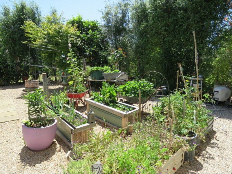 5 Currawong Close, Raymond Island VIC 3880