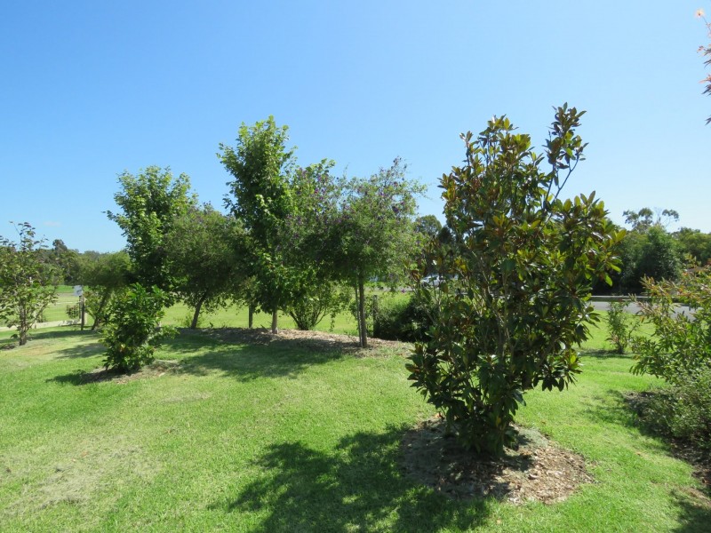 19 Springwood Rise, Newlands Arm VIC 3875