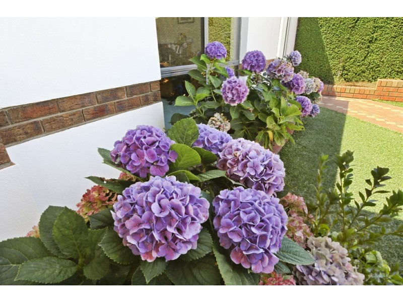 23 Windermere Terrace, Paynesville VIC 3880