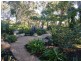 31 Seventh Parade, Raymond Island VIC 3880