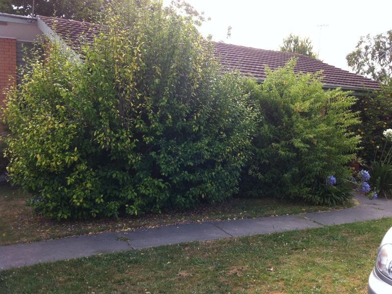 1/6 Ropley Grange, Frankston VIC 3199