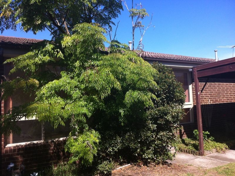 3/75 Kirkwood Avenue, Seaford VIC 3198