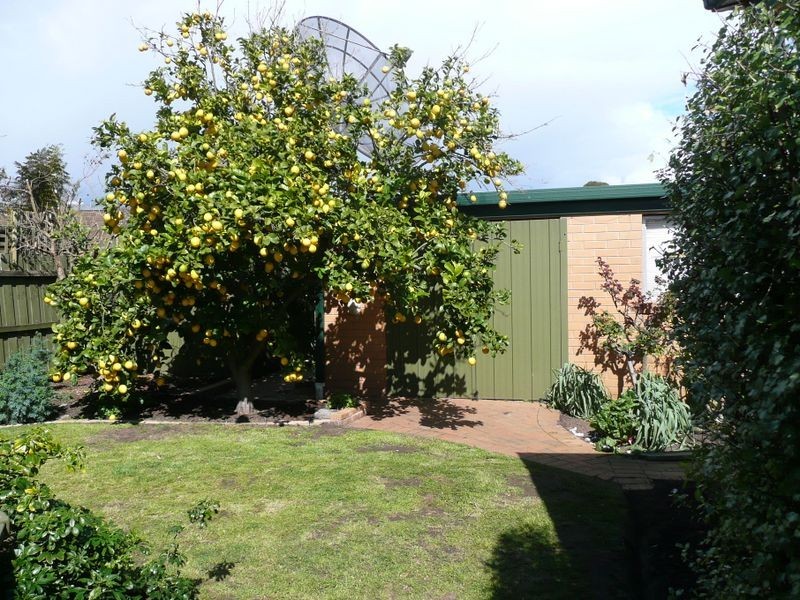 12 Whitby Way, Seaford VIC 3198