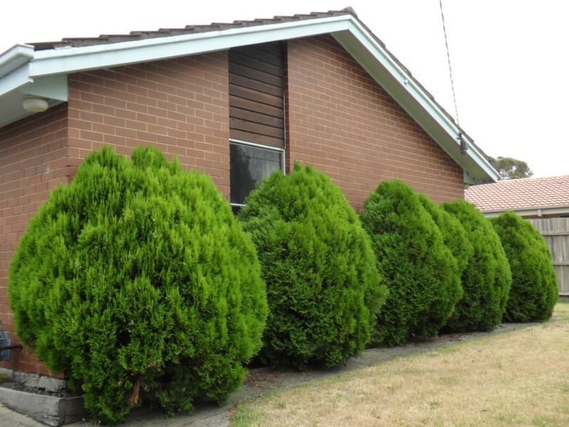 109 Monterey Boulevard, Frankston North VIC 3200