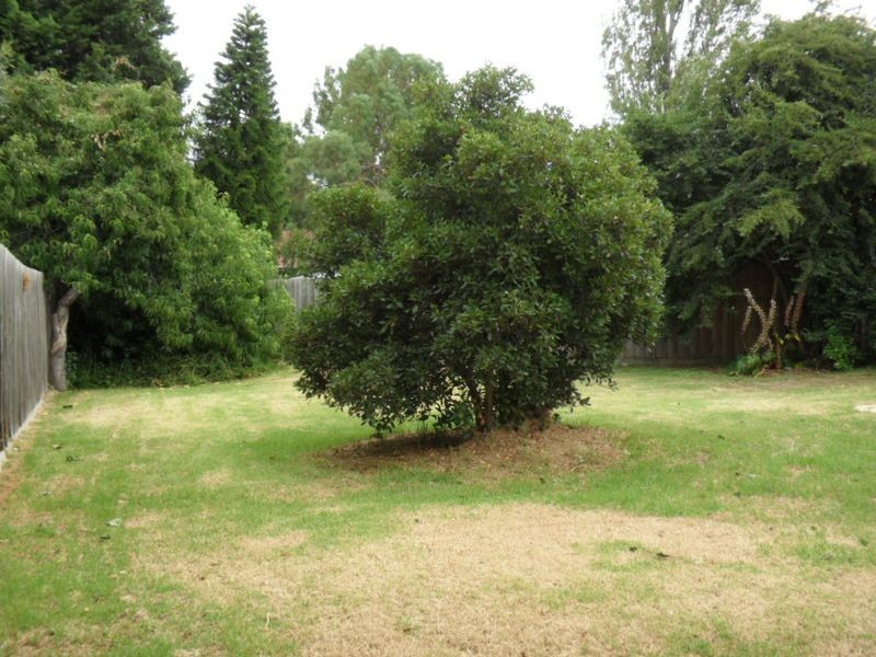 14 Hickory Crescent, Frankston North VIC 3200