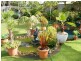 33 Bognor Avenue, Seaford VIC 3198