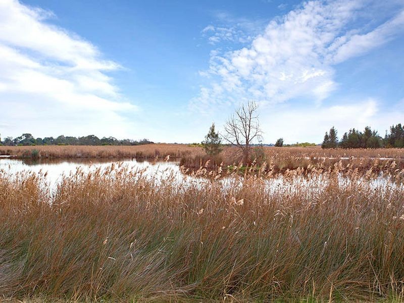 1/2 McRae Street, Seaford VIC 3198