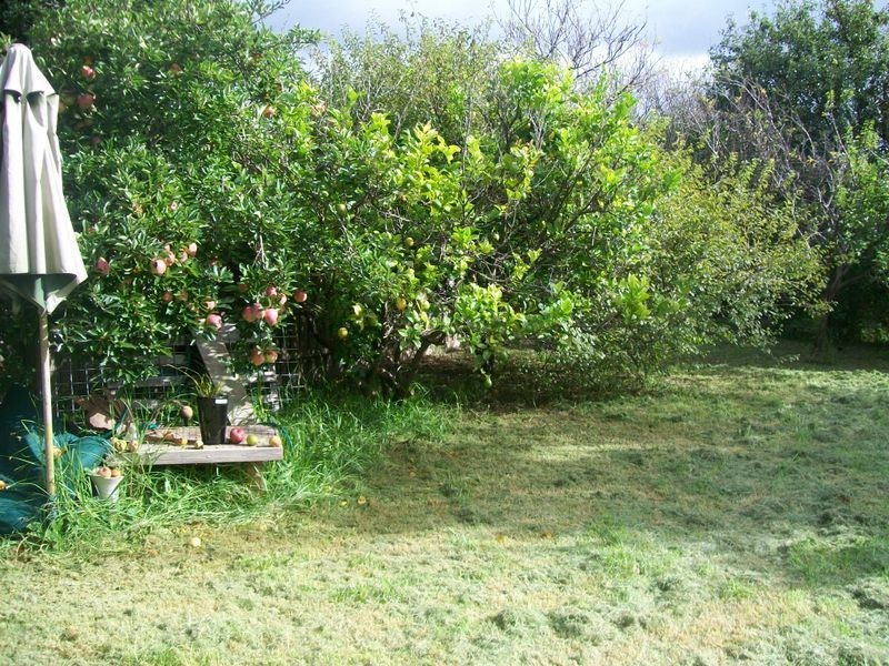 13 Robinsons Road, Seaford VIC 3198