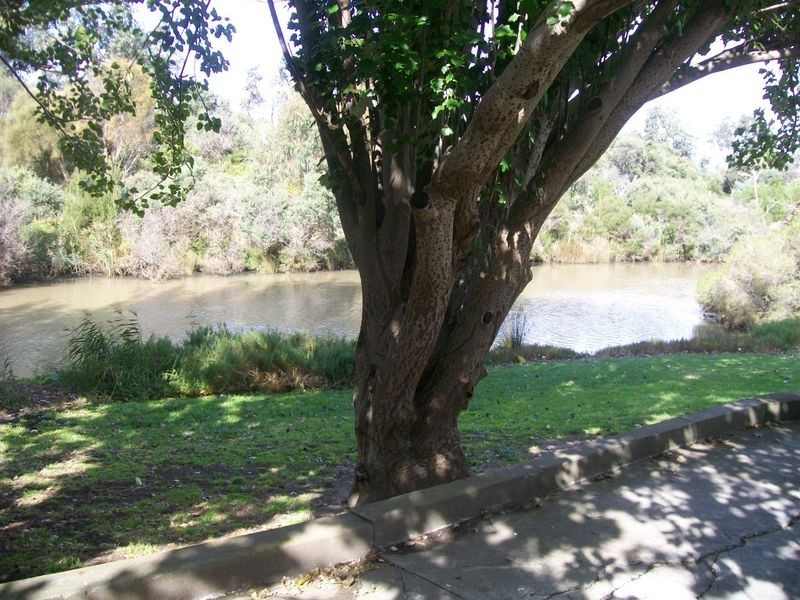 12/269 Nepean Highway, Seaford VIC 3198