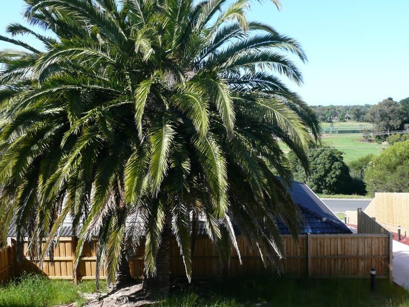 3/45 Nursery Avenue, Frankston VIC 3199