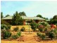 1567 Longwood – Shepparton Road, Shepparton VIC 3630