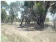 960 Punt Road, Dhurringile VIC 3610