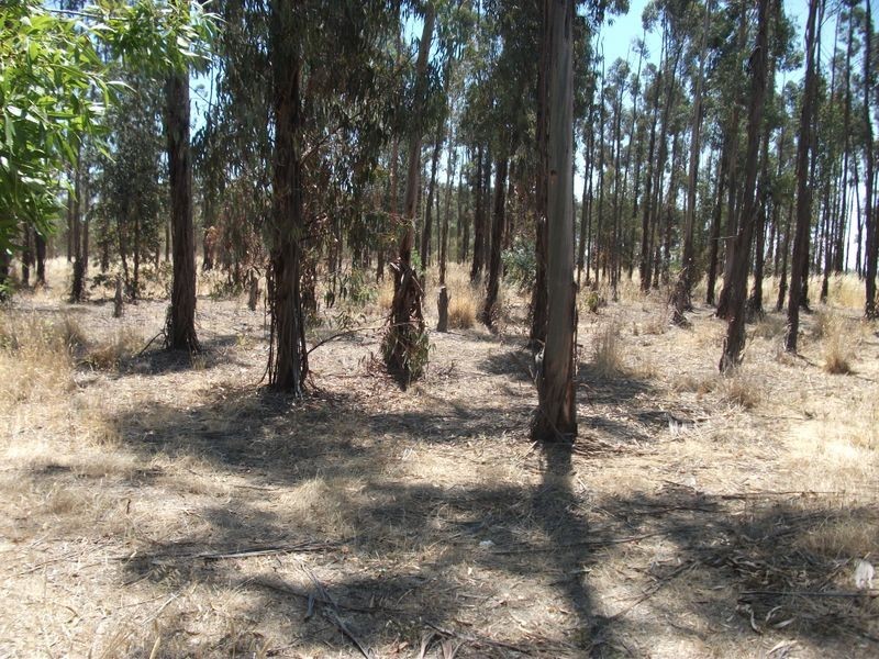 7270 Goulburn Valley Highway, Kialla VIC 3631