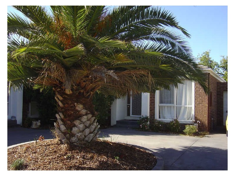 4/193-195 The Boulevard, Shepparton VIC 3630