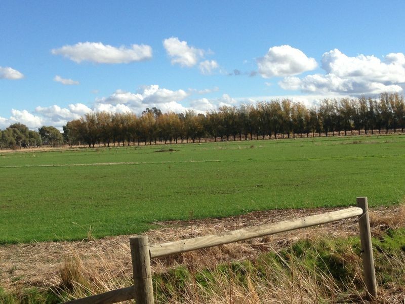 1325 Echuca Road, Undera VIC 3629